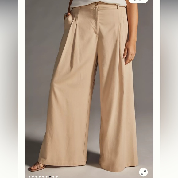 NWT Anthropologie / Amadi Pleated Wide-Leg Pants size Medium in Sand Beige Retro - Picture 10 of 11